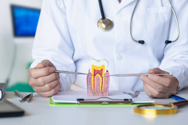 Best Emergency Dentist for Lost Fillings or Crowns in Mesquite, TX